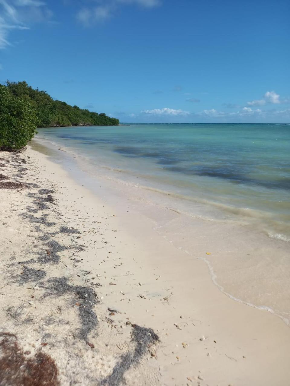 Le Neem Hotel Saint-Francois  Buitenkant foto